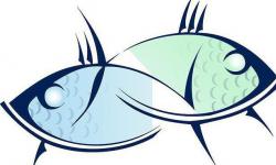 Знак зодиака рыбы: как с ними уживаться и что надо знать?
